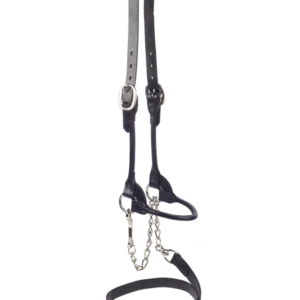 Kantar wystawowy dla bydła