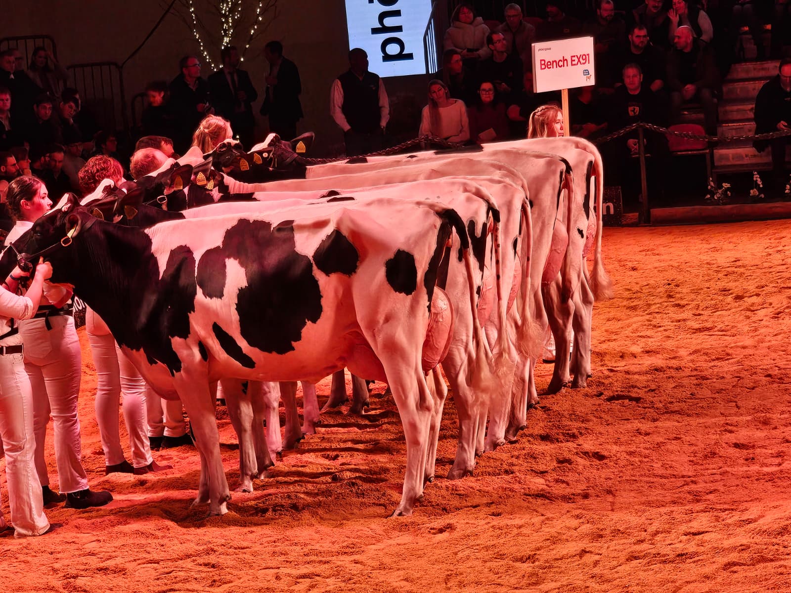 Uczestniczyliśmy wczoraj w cudownym wydarzeniu – najpiękniejsze HF w jednym miejscu